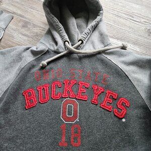 Ohio State Buckeyes OSU Size Large Gray Raglan Thick Hoodie 2 Tone